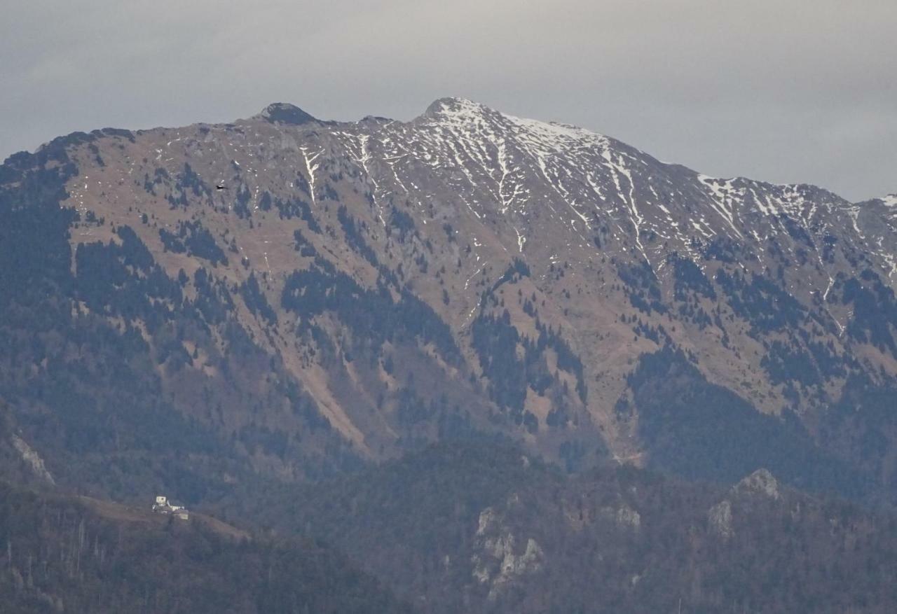 Apartment Tjasa Radovljica Kültér fotó